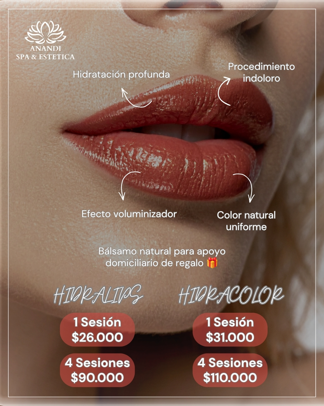 promo hidralips e hidracolor