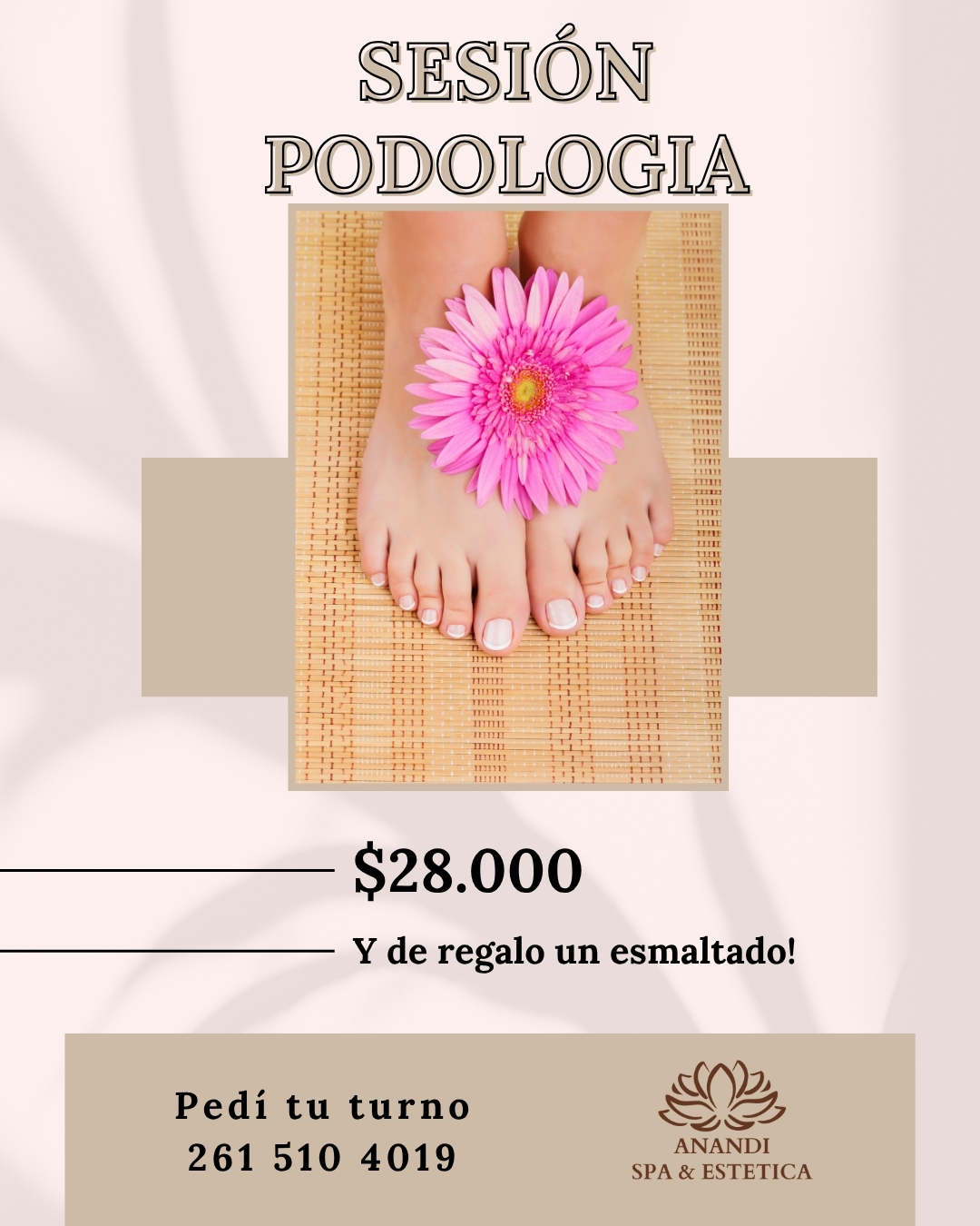 promo podologia