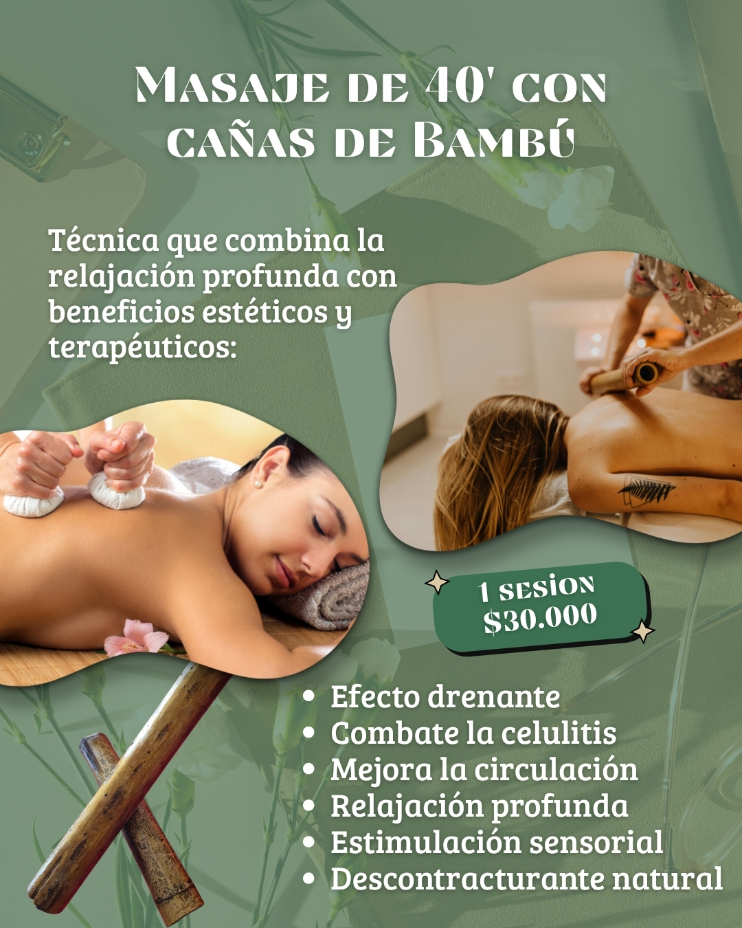 promo con cañas de bambu