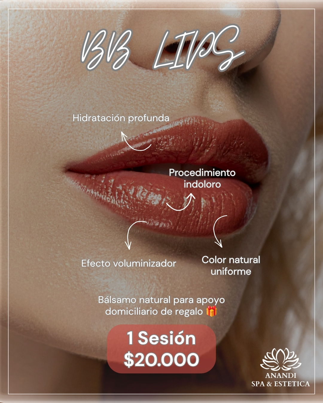 promo bb lips