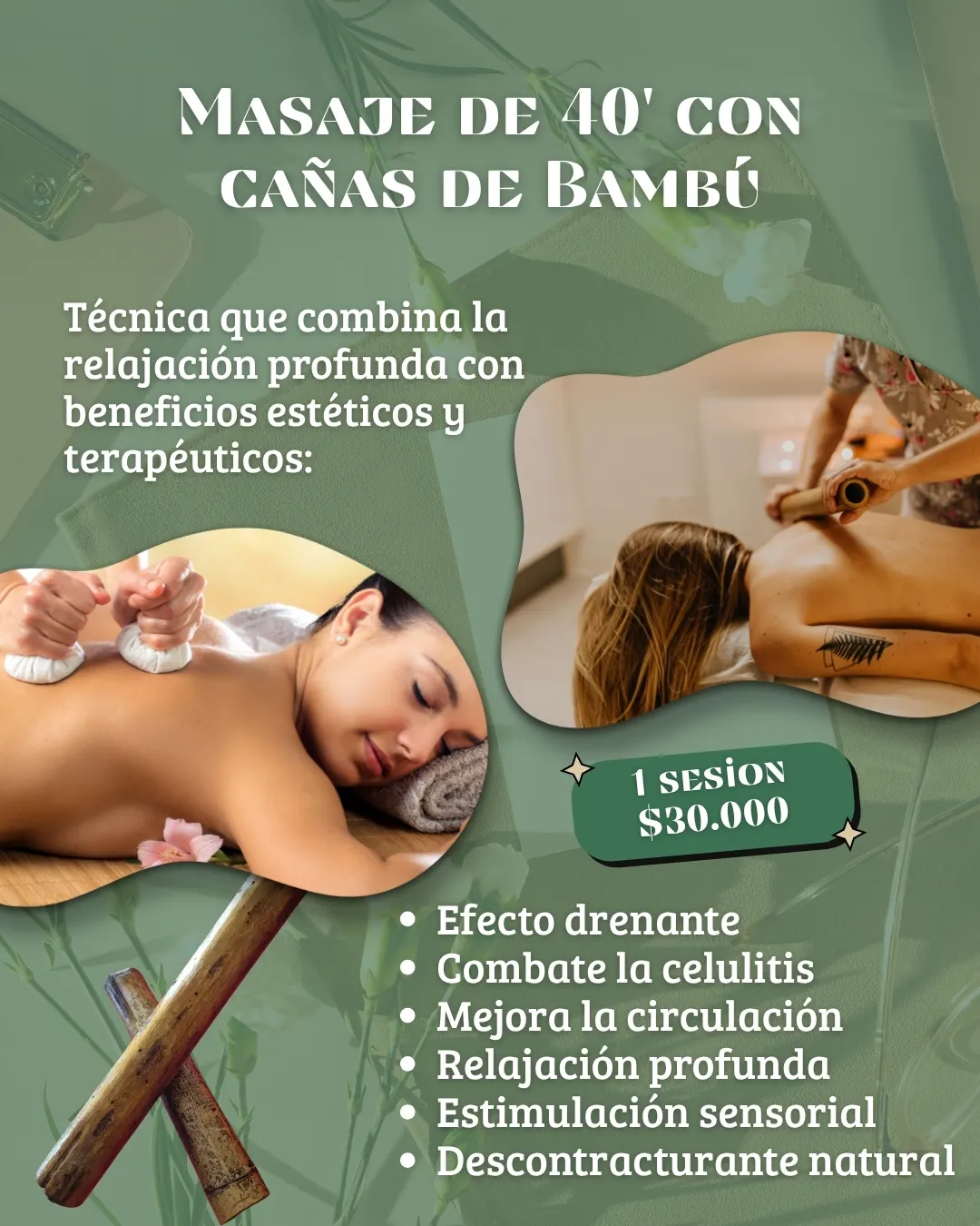 promo con cañas de bambu