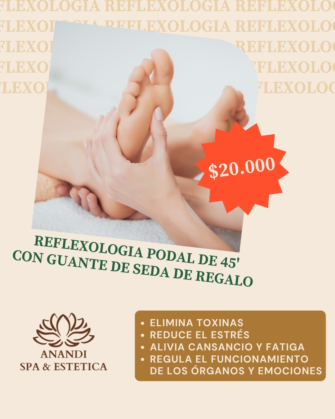 promo reflexologia