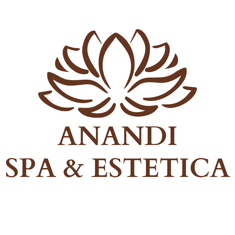 logo anandi